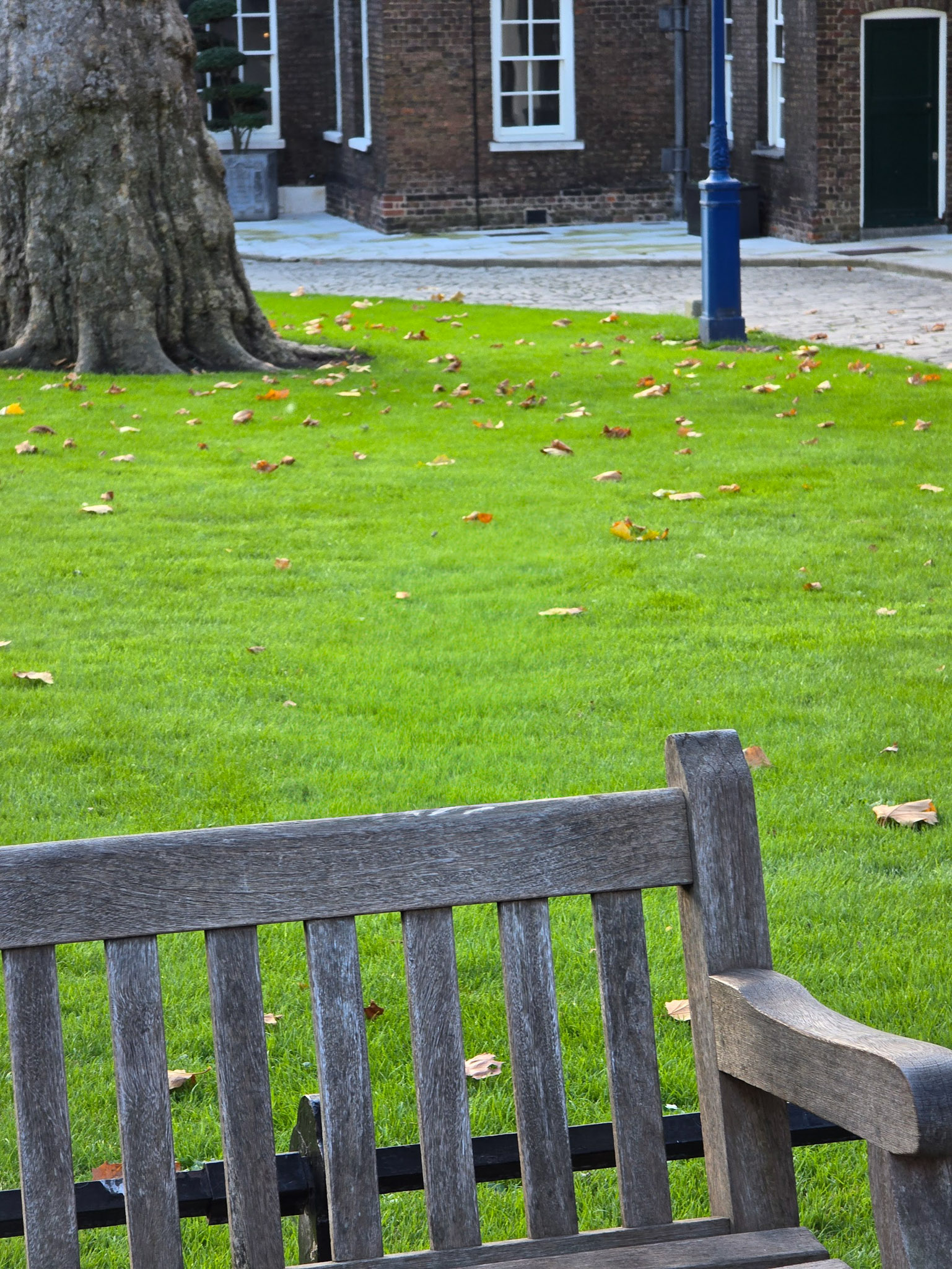 A black rectangle with a green background.